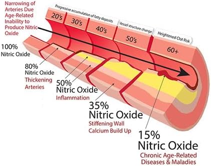 OxyBoost with ViNitrox - Nitric Oxide Supplement for Blood Pressure Support, Heart Health, Energy Boost, Circulation, and More (3 Bottles - 90 Servings)