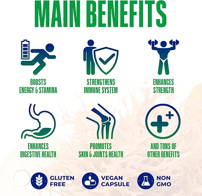 Sea Moss Black Seed Oil Ashwagandha Ginger - Advanced Irish Sea Moss Capsules All in One Supplement with Seamoss Black Seed Oil Ashwagandha Burdock Root Bladderwrack - Pills for Energy, Immune, Gut