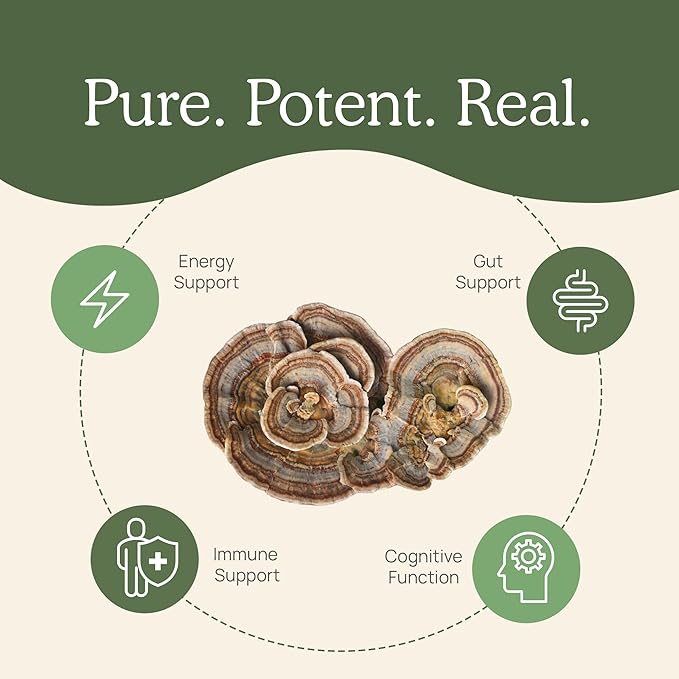 Real Turkey Tail Powder - Organic Mushroom Supplement with Potent Mushroom Extract for Gut, Energy, Brain, & Immune Support - Vegan, Non-GMO, 45 Servings
