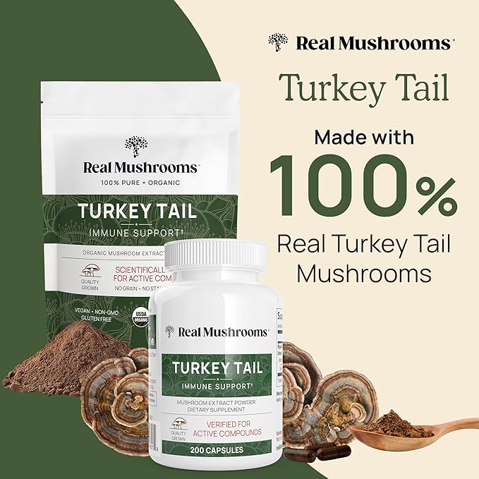 Real Turkey Tail Powder - Organic Mushroom Supplement with Potent Mushroom Extract for Gut, Energy, Brain, & Immune Support - Vegan, Non-GMO, 45 Servings