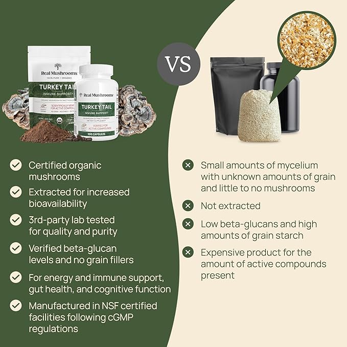Real Mushrooms Turkey Tail Powder - Organic Mushroom Supplement with Potent Turkey Tail Mushroom Extract for Gut, Energy, Brain, & Immune Support - Vegan Mushroom Powder, Non-GMO, 100 Servings