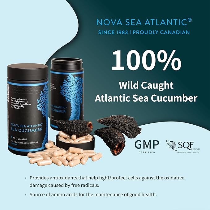 Sea Cucumber Supplement, Wild Caught Sea Cucumber Capsules with Fucosylated Chondroitin Vitamins Mineral — Natural Antioxidant Supplement for Elderly Adult Child (Pack of 12)