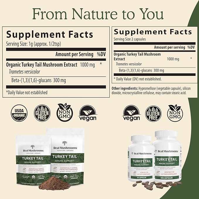 Real Mushrooms Turkey Tail Powder - Organic Mushroom Supplement with Potent Turkey Tail Mushroom Extract for Gut, Energy, Brain, & Immune Support - Vegan Mushroom Powder, Non-GMO, 100 Servings