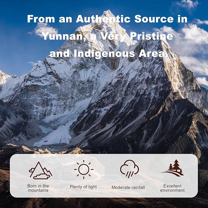 Shilajit Pure Himalayan Shilajit Powder - 200 Servings, with 50% Fulvic Acid and Trace Minerals, Enhanced Energy, Immune Support, Supplements for Men & Women, 1.76oz (50g)