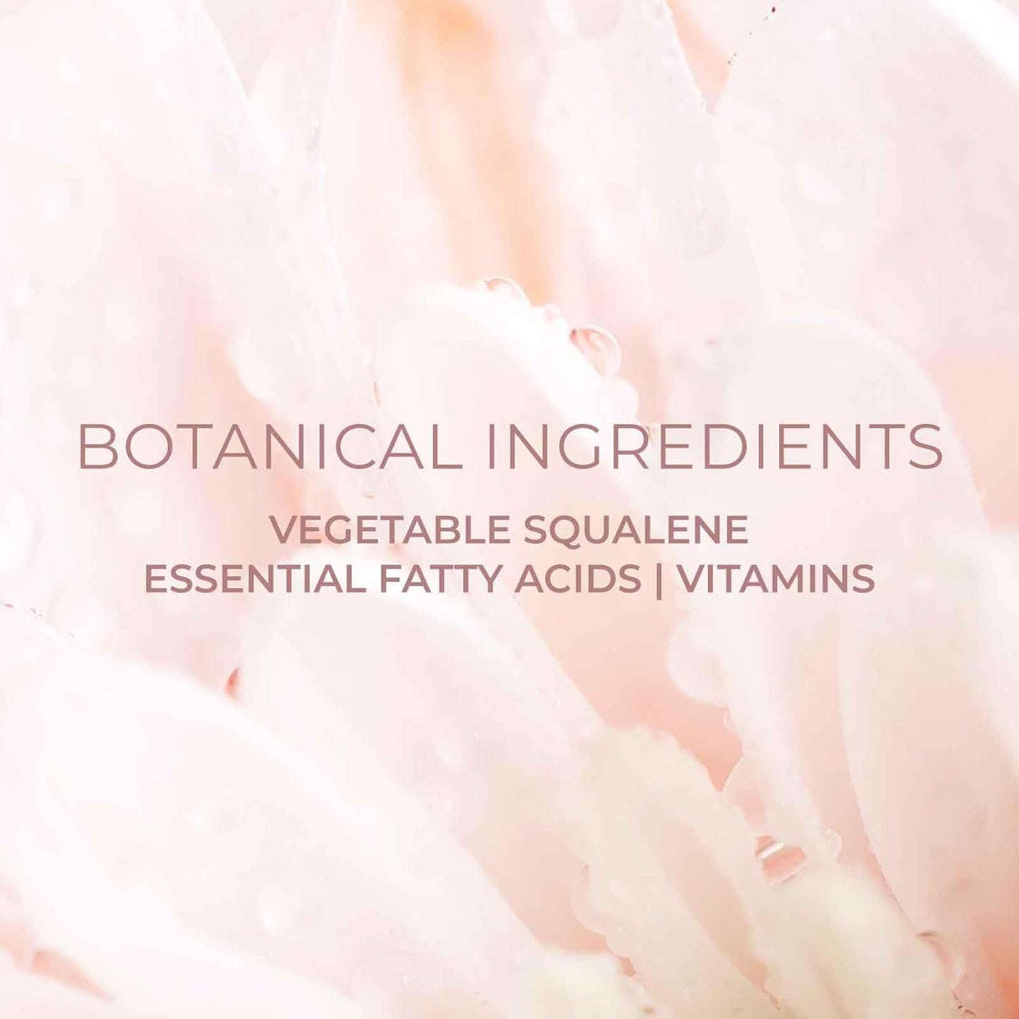 Lip Sleeping Mask Hydrating Lip Balm (Rose) | Overnight Moisturizer for Plumper, Smoother Lips | Korean Skincare | 0.52 oz