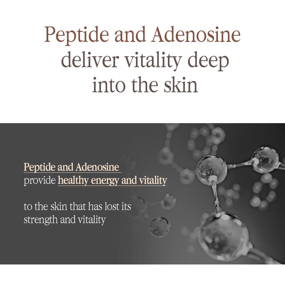 Pyunkang Yul PKY Black Tea Boosting Serum for Anti-aging, Condensed Nutrition for Fine Line Care with Kombucha, Ginseng Fruit Extract, Zero-Irritation, Korean Skincare (1.52 Fl. Oz, 45ml)