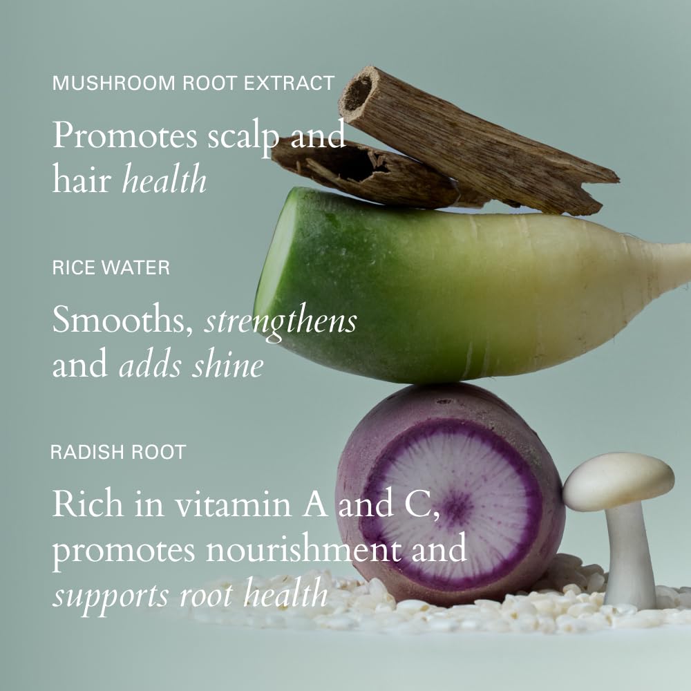 RŌZ Root Lift Spray | Instant Volume Boost| Buildable, Non-Sticky, Lightweight Hold | Infused with Mushroom Root, Rice Protein & Radish Root | Silicone-Free | 8 fl oz