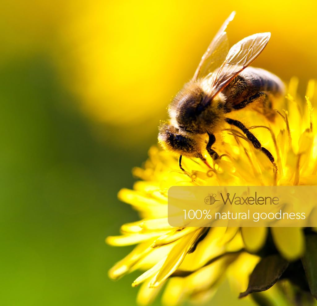 Waxelene Original Aerated Lip Balm Tin 4pc, Best Lip Balm Ever Organic Multipurpose Ointment Baby Eczema Dry Sensitive Skin Body Hand Face Moisturizer