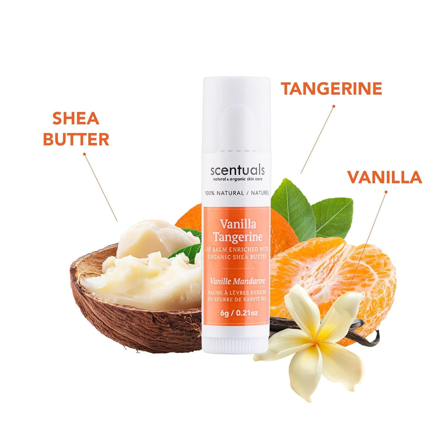 Lip Balm Vanilla Tangerine Set of 3, Made with Shea Butter, Cocoa Butter, Avocado & Jojoba oil, Beeswax, Vitamin E and Essential oil, Moisturizing Lip Care, Cruelty Free Hydration, Natural (3 Pack)