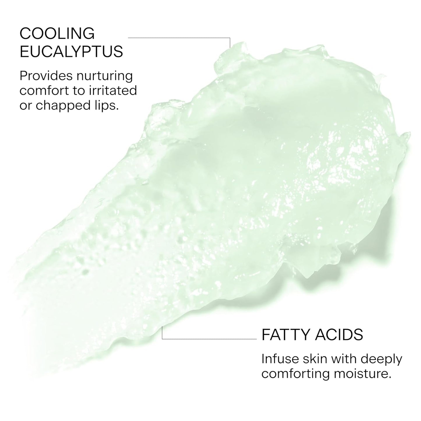 Lip Sleeping Mask (Mint Bliss) | Overnight Hydrating Lip Treatment | Plumping & Softening | With Eucalyptus and Squalane to Soften Dry, Chapped Lips