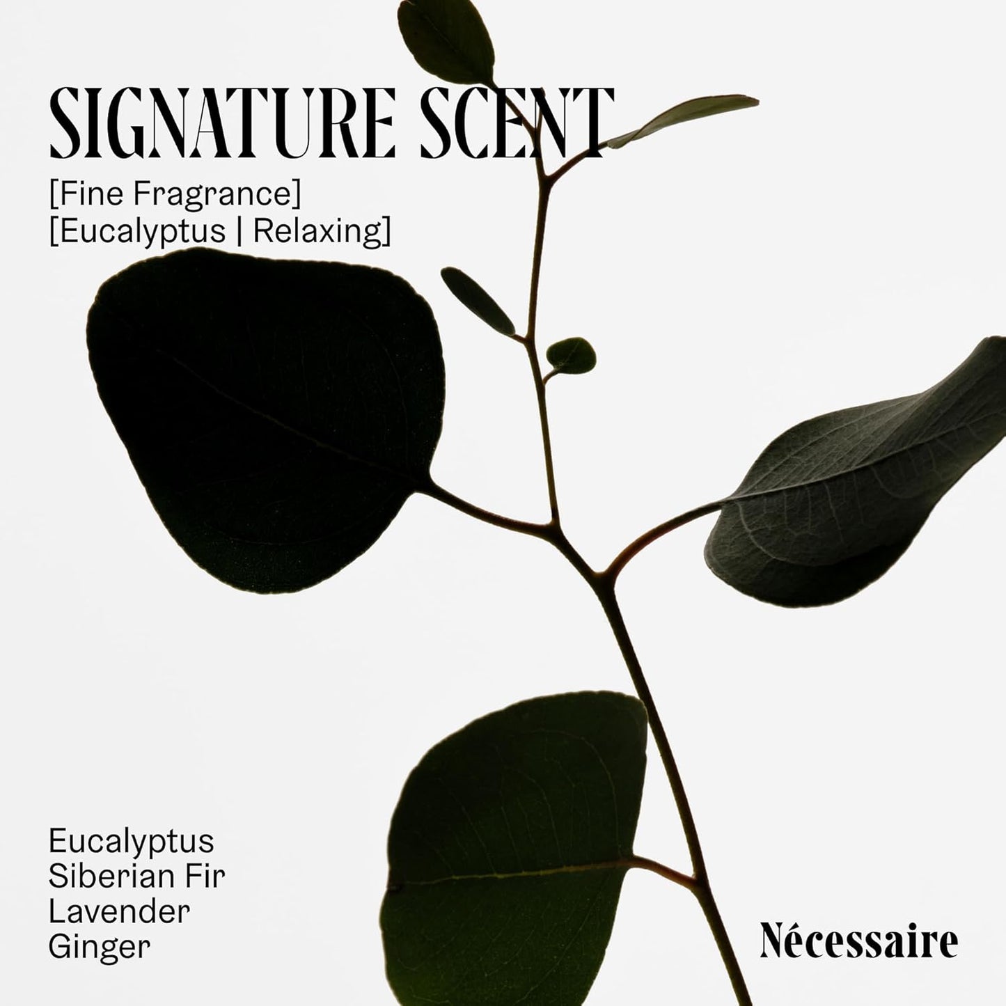 Nécessaire The Body Wash Eucalyptus - Natural Body Wash for Women & Men, Replenishing Shower Gel with Niacinamide, Vitamin C/E + Omega 6/9. Oil-In-Gel Cleanse, 8.4 fl oz.