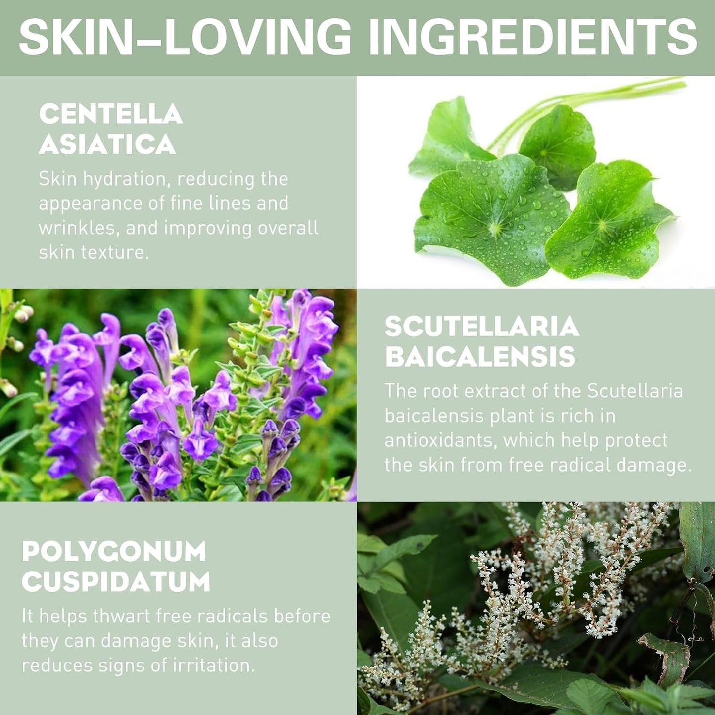 UCANBE Liquid Concealer Stick, Conceals, Covers, Highlights, Medium to Full Coverage Hydrating Color Corrector Face Makeup for Under Eye Dark Circles, Redness, Dullness, Fine Lines - Orange