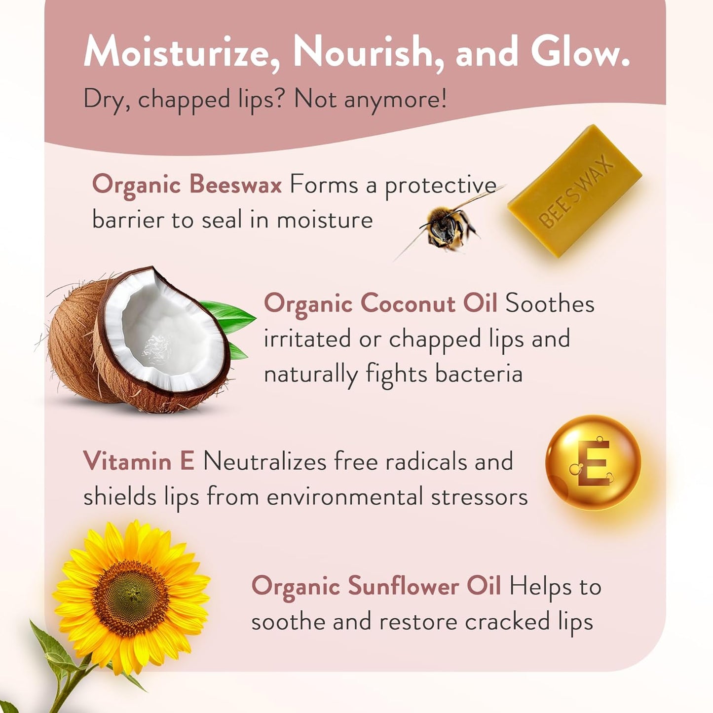 Moroccan Magic Organic Rose Lip Balm 3 Pack | Ultra-Hydrating Argan & Essential Oil Lip Moisturizer + Vitamin E | Natural Chapstick for Dry Lips | Smooth, Non-Toxic | Organic Lip Balm