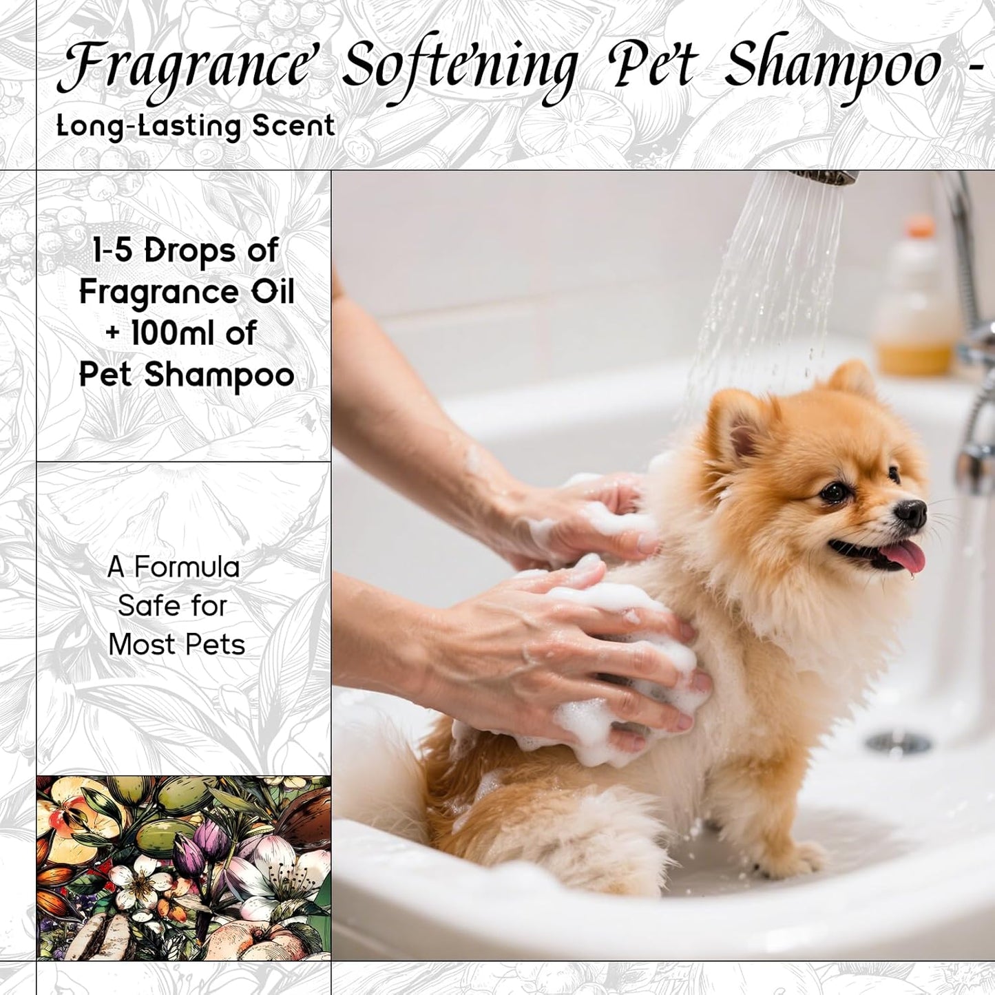 HIQILI Fantasy Girl Fragrance Oil for Candle, Perfume Making, Praline & Pomelo Scents, Long Lasting, Skin & Hair Care Products, Gifts - 5.07 Fl Oz