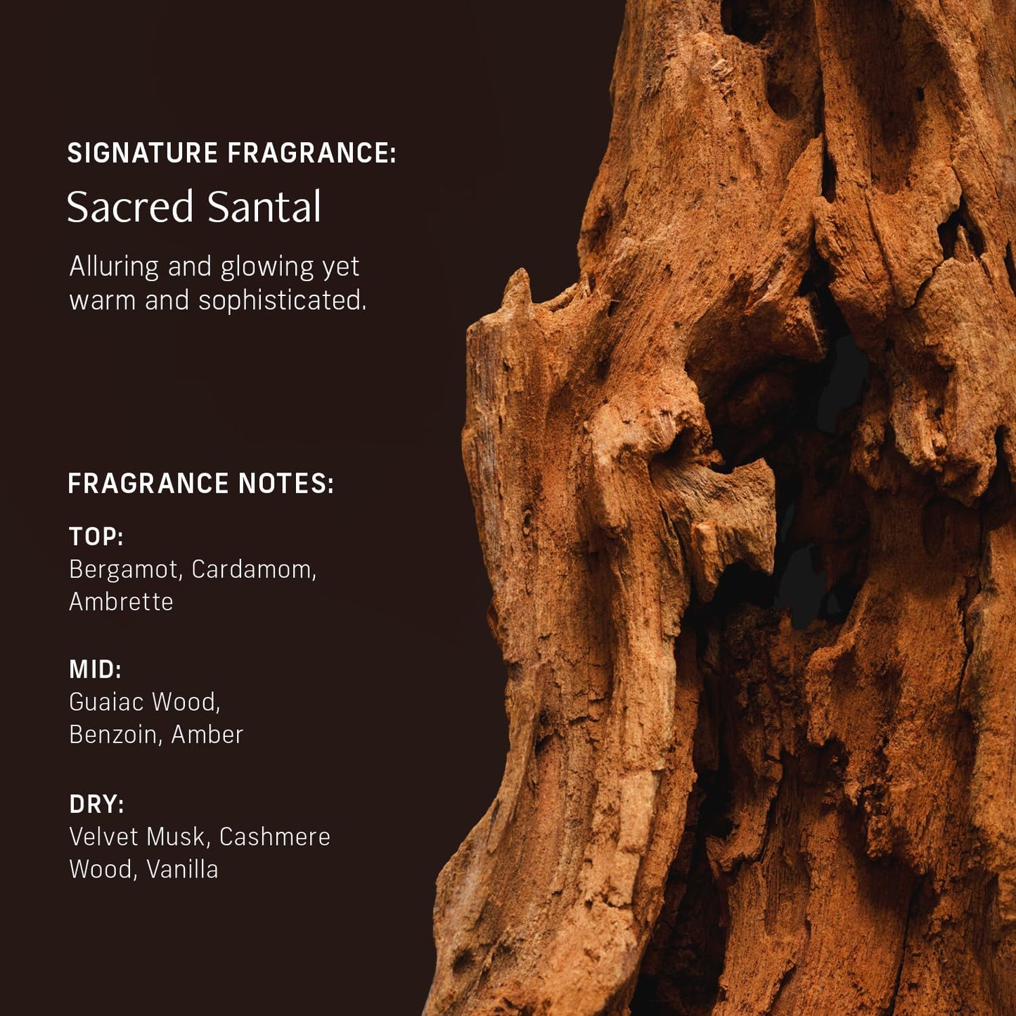 Sensorial Body Wash. Sacred Santal Hydrating Cleanser with Moisture Locking Multi-Oil Complex, Sodium PCA and Glycerin. Nourishing Shower Gel for Women and Men, 16.5 Fl Oz Luxury Bodywash