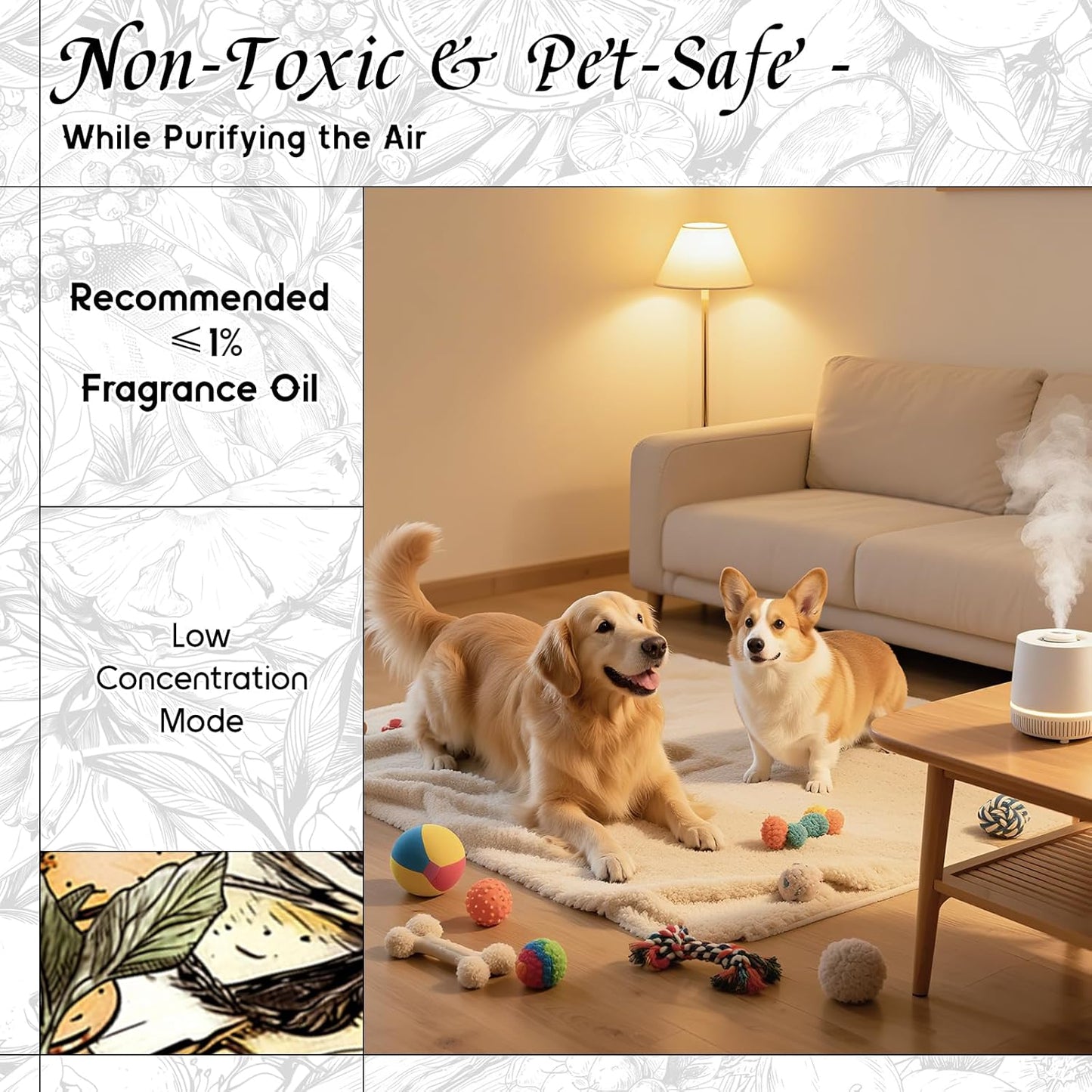 HIQILI Honey Fragrance Oil for Making Candle, Soap, Perfume, Warm Scents for Essential Oil Diffusers, Great for Home, Laundry - 5.07 Fl Oz