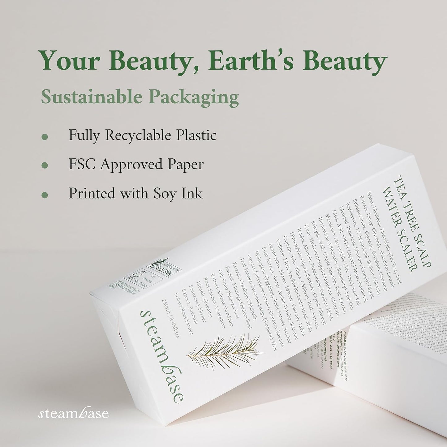 Tea Tree Scalp Water Scaler | Exfoliator for Itchy Dry Flaky Scalp, Buildup Remover, Treatment for Excess Sebum Oily Greasy Hair | Korean Hair Care Products, Refill 16.9 fl oz