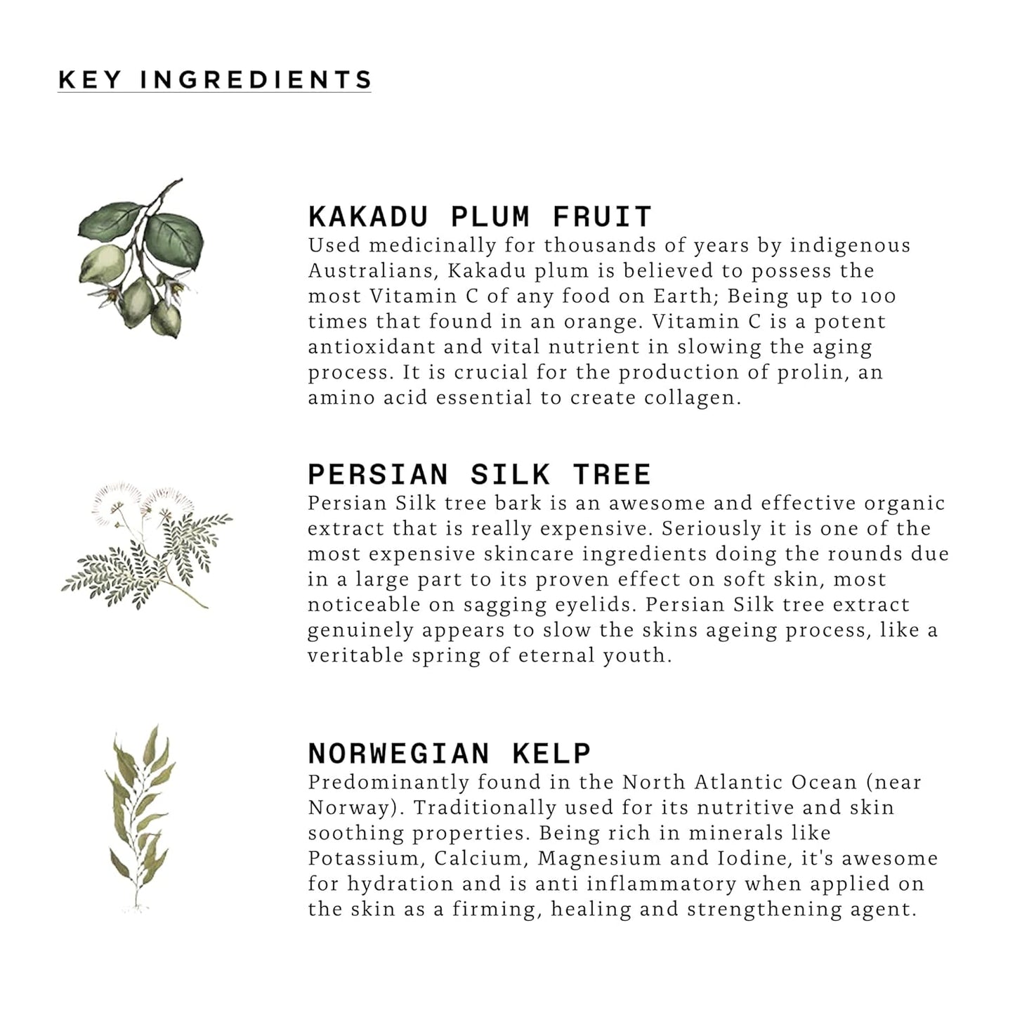 Triumph & Disaster | Dichotomy Eye Serum | Anti-Aging, Targeting Dark Circles, Crows Feet & Puffiness for Men - 0.5 fl oz