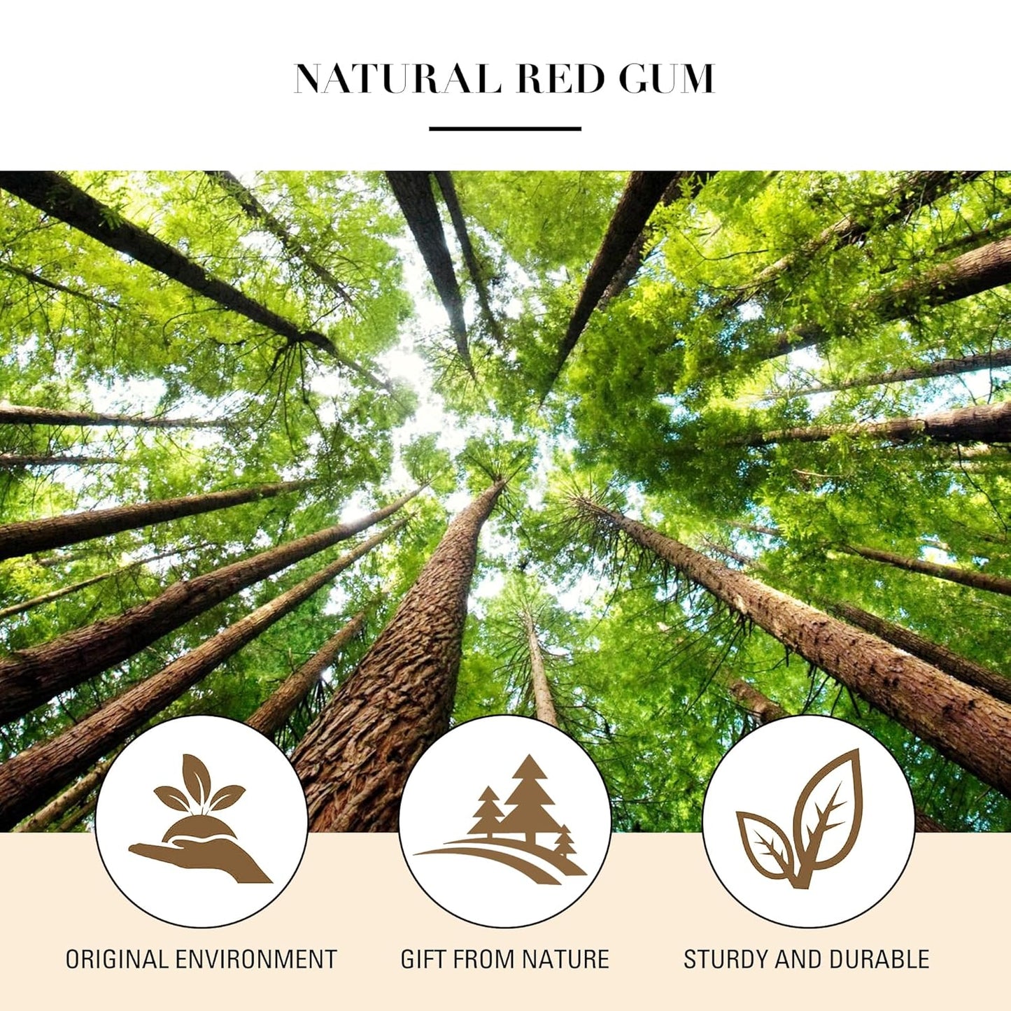 Bamboo Brush for Hair Growth – Natural Bamboo Bristles Detangling & Scalp Massage Hairbrush – Ergonomic Wooden Handle – All Hair Types for Women, Men & Kids